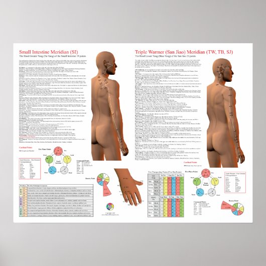 SI TW Meridian Acupuncture Points Poster (Voorkant)