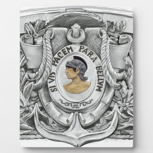 SI VIS PACEM PARA BELLUM FOTOPLAAT (Voorkant)