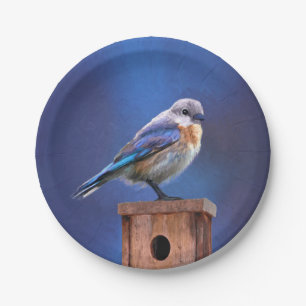 Sialia die (Vrouw) - het Originele Art. van de Papieren Bordje