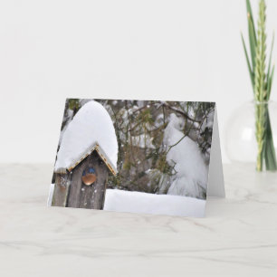 Sialia in de Sneeuw Kaart