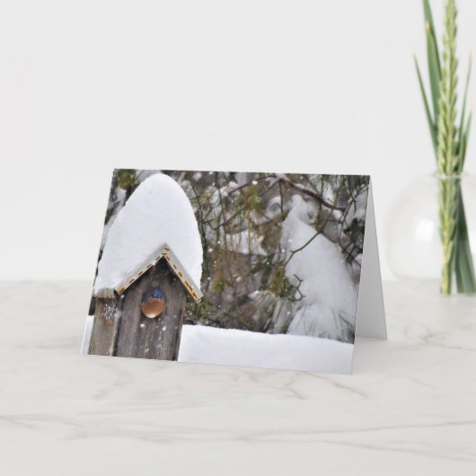 Sialia in de Sneeuw Kaart (Voorkant)