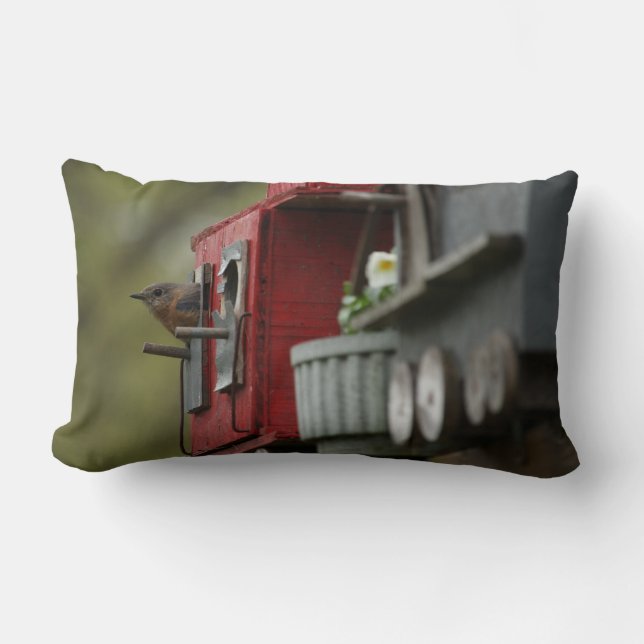 Sialia in het Hoofdkussen van het Vogelhuis Kussen (Voorkant)