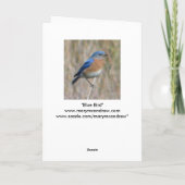 "Sialia " Kaart (Achterkant)