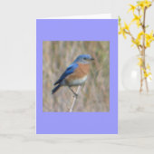 "Sialia " Kaart (Gele Bloem)