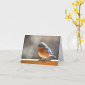 Sialia Notecard - Spatie binnen Kaart (Gele Bloem)