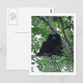 Siam Gibbon Briefkaart (Voorkant / Achterkant)
