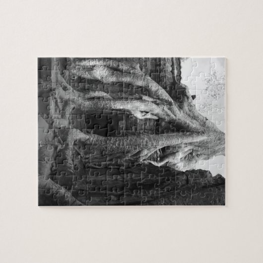 Siam Reap, Cambodja. Net buiten Siam Reap, Legpuzzel (Horizontaal)