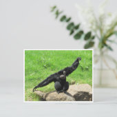 siamang dans briefkaart (Staand voorkant)