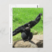 siamanggolf briefkaart (Voorkant / Achterkant)