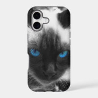 Siamees Kat