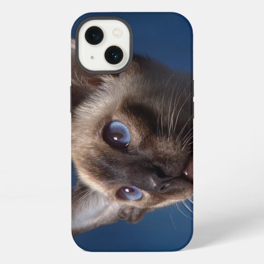 Siamees Kat met Blauwe Ogen iPhone Hoesje (Achterkant)