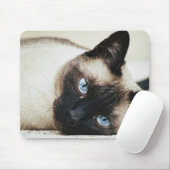 Siamees kat muismat (Met muis)