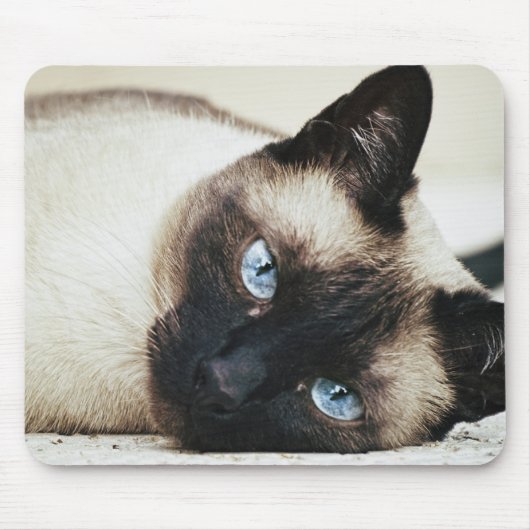 Siamees kat muismat (Voorkant)