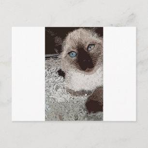 Siamees kat poes huisdier dier vriend familie kuns briefkaart