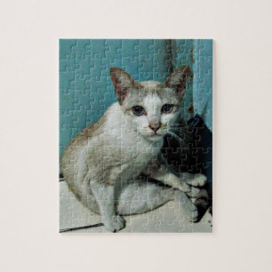 Siamees Kat Vriend Legpuzzel