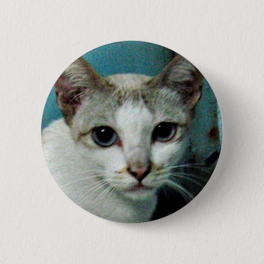 Siamees Kat Vriend Ronde Button 5,7 Cm (Voorkant)
