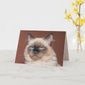 Siamees kat wenskaart kaart (Gele Bloem)