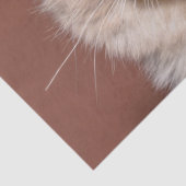 Siamees kattenweefsel papier (Detail)