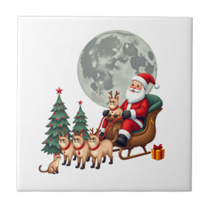 Siamees Rendier Kerstmis Siamees Kat Liefhebber Ca Tegeltje