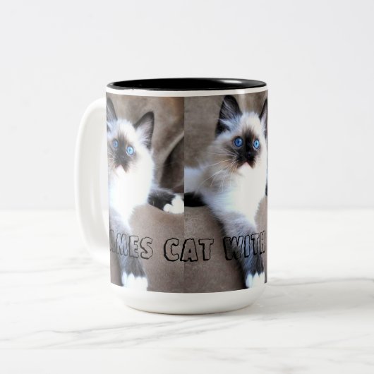 Siames Cat Mok (Voorkant links)