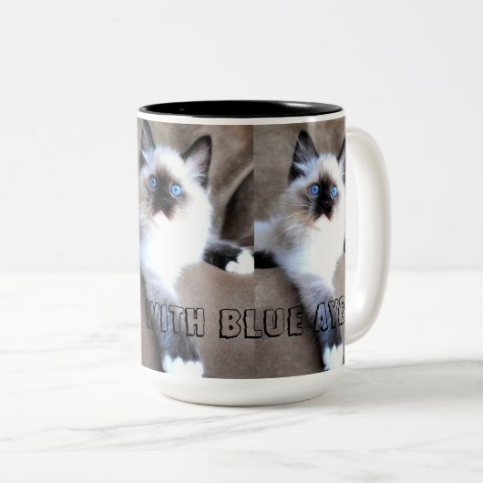 Siames Cat Mok (Voorkant rechts)