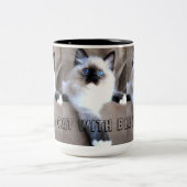 Siames Cat Mok (Center)