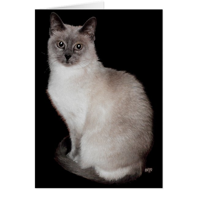 Siamese als je wilt! (Voorkant)