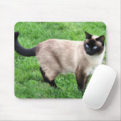 SIAMESE BEAUTY MUISMAT (Met muis)
