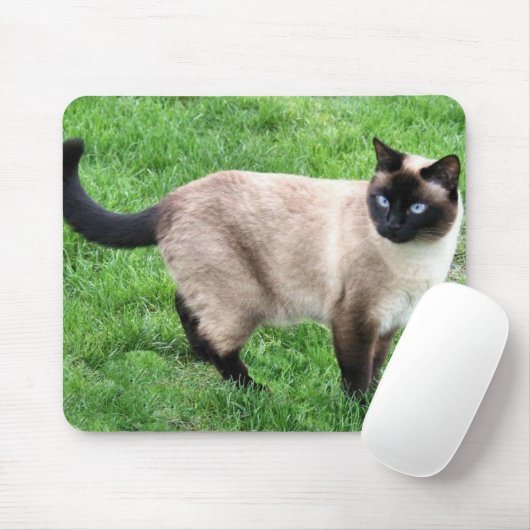 SIAMESE BEAUTY MUISMAT (Met muis)