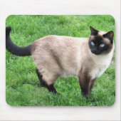 SIAMESE BEAUTY MUISMAT (Voorkant)