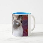 SIAMESE BEAUTY TWEEKLEURIGE KOFFIEMOK (Voorkant rechts)