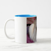 SIAMESE BEAUTY TWEEKLEURIGE KOFFIEMOK (Links)