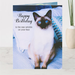 Siamese Birthday-kaart Kaart