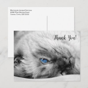 Siamese Blue Eyed Cat Hartelijk dank Briefkaart