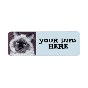 SIAMESE BLUE EYED PERSIAN RETURN ADRES ETIKETTERS ETIKET
