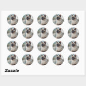 Siamese Cat 749 Digitale kunst Ronde Sticker (Vel)
