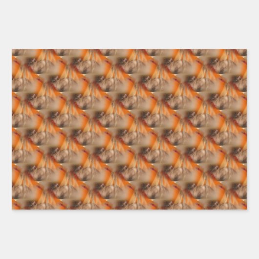 Siamese Cat Animal Pattern Inpakpapier Vel (Voorkant 3)