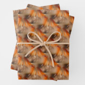 Siamese Cat Animal Pattern Inpakpapier Vel (In situ)