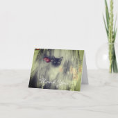 Siamese Cat Black en White — Hartelijk dank voor u Bedankkaart (Voorkant)