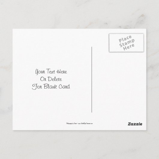 Siamese Cat Blue Butterfly Daisies Briefkaart (Achterkant)