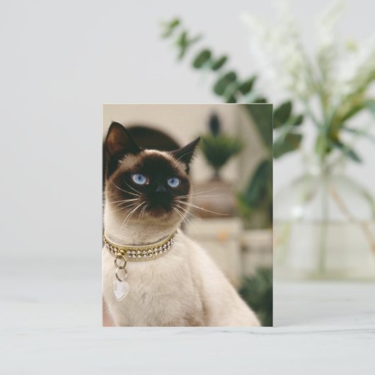 Siamese Cat Briefkaart (Staand voorkant)