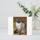 Siamese Cat Briefkaart (Staand voorkant)