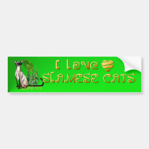 Siamese Cat Bumpersticker