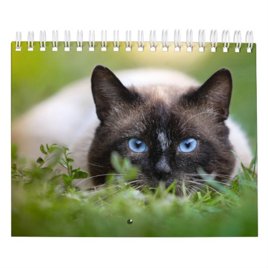 Siamese Cat Calendar Kalender (Hoes)