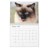 Siamese Cat Calendar Kalender (Feb 2027)