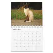 Siamese Cat Calendar Kalender (Mar 2027)