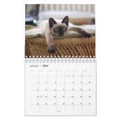 Siamese Cat Calendar Kalender (Jan 2026)