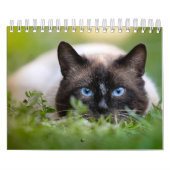 Siamese Cat Calendar Kalender (Hoes)