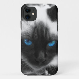 Siamese Cat iPhone 11 Hoesje