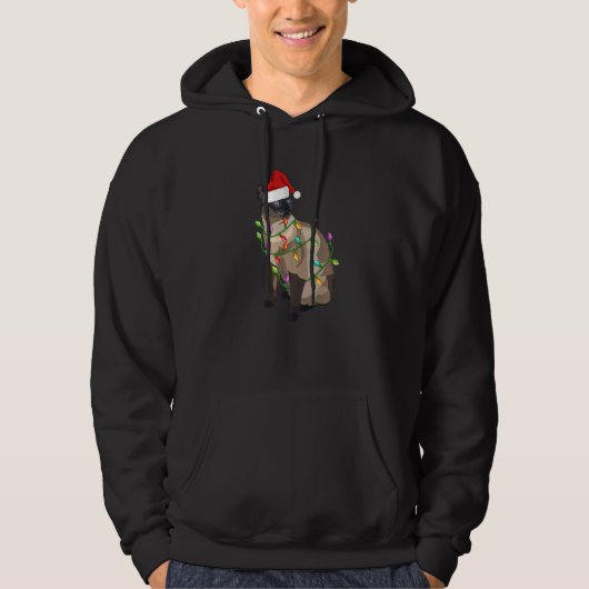 Siamese Cat Christmas Lights Xmas Cat Hoodie (Voorkant)